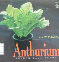 Anthurium tanaman daun eksotik