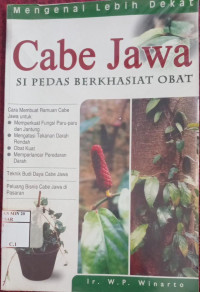Cabe Jawa Si Pedas Berkhasiat Obat