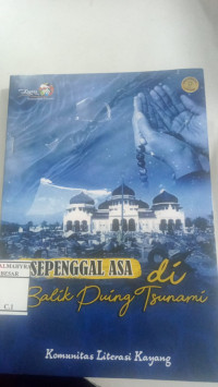 Sepenggal Asa di Balik Puing Tsunami